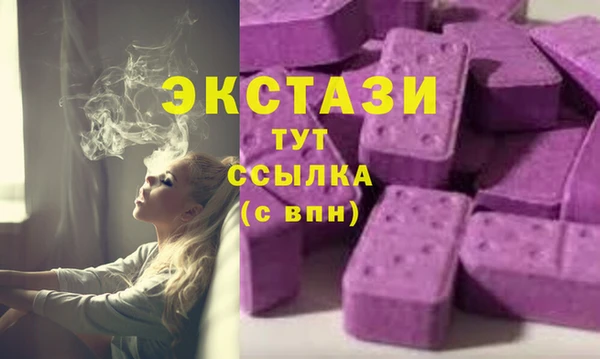 индика Баксан