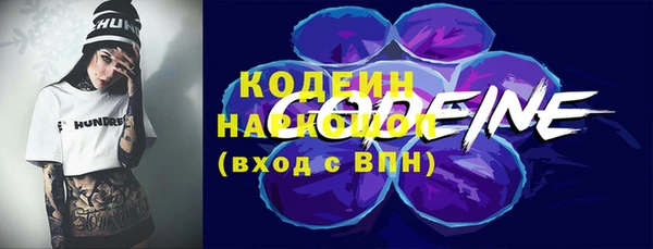 индика Баксан