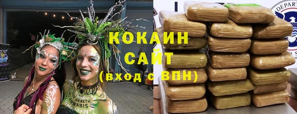 индика Баксан