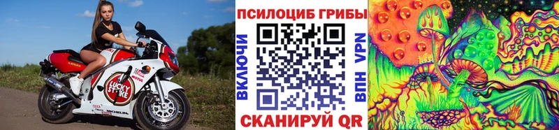 Псилоцибиновые грибы мухоморы  Полысаево 
