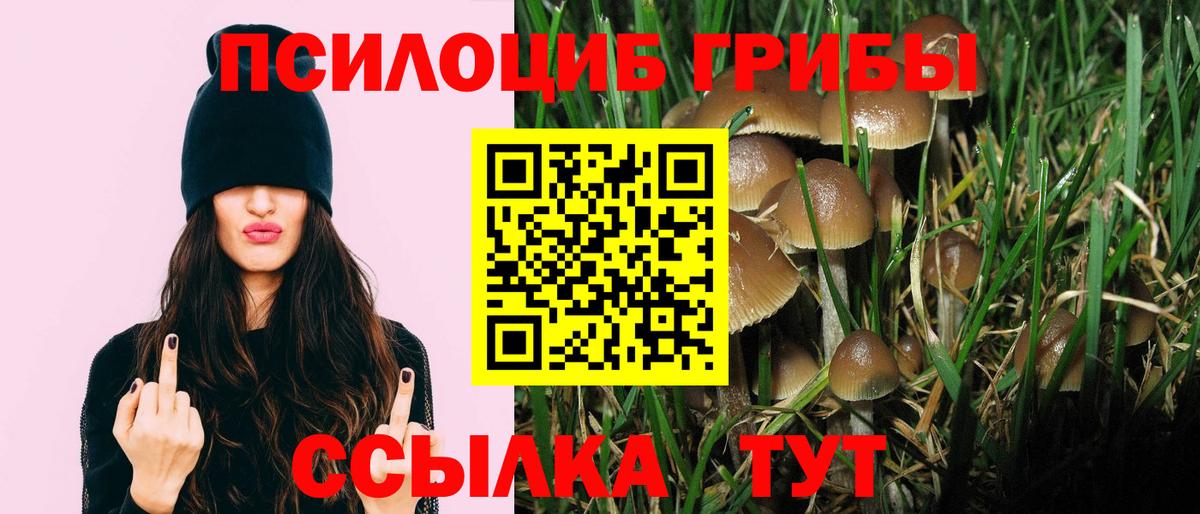 закладка  Вход с VPN  Полысаево  Галлюциногенные грибы мицелий 