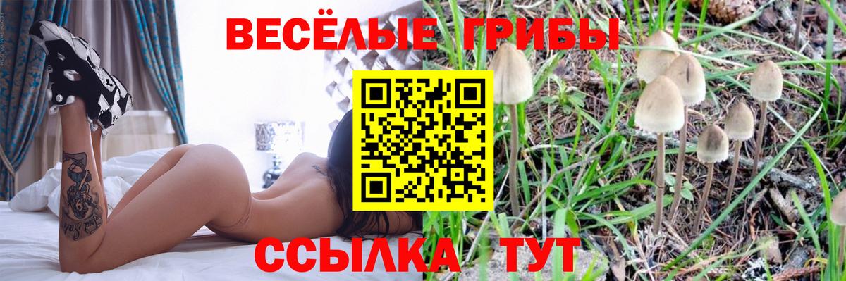 Галлюциногенные грибы Magic Shrooms Полысаево